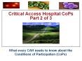 Critical Access Hospital CoPs Part 2 of 3 PowerPoint PPT Presentation