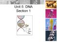 Unit 5: DNA Section 1 PowerPoint PPT Presentation