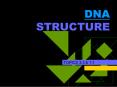 DNA STRUCTURE PowerPoint PPT Presentation