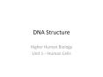 DNA Structure PowerPoint PPT Presentation