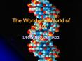 The Wonderful World of DNA PowerPoint PPT Presentation