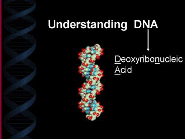 Understanding DNA