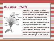 Bell Work: 1/24/12