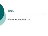DNA