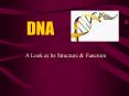 DNA PowerPoint PPT Presentation