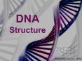 DNA PowerPoint PPT Presentation