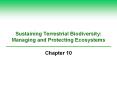 Sustaining Terrestrial Biodiversity: Managing and Protecting Ecosystems PowerPoint PPT Presentation