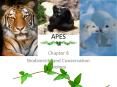APES PowerPoint PPT Presentation