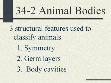 34-2 Animal Bodies