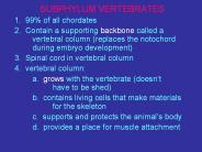 SUBPHYLUM VERTEBRATES