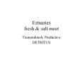 Estuaries fresh PowerPoint PPT Presentation