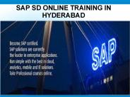 sap sd online training in hyderabad