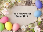 Top 7 Flowers For Easter 2016