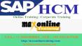 SAP HCM Organizational Management and Integration PowerPoint PPT Presentation