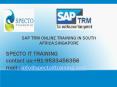 sap trm online training in south africa,singapore PowerPoint PPT Presentation