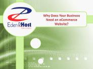 Why does Your Business Need an E commerce Website