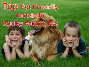 Top Pet Friendly Hotels & Lodging Rocky Mount, NC