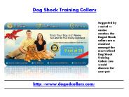 Dog Shock Training Collars