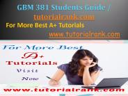 GBM 381  Academic professor /Tutorialrank.com