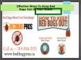 Effective Tips For The Bed Bug Removals - Bed Bug pros PowerPoint PPT Presentation