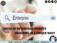 Needs of Enterprise Website Designing in a unique way?