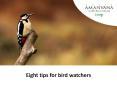 Eight tips for Bird Watchers PowerPoint PPT Presentation