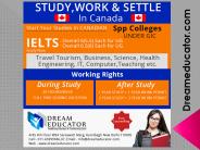 Abroad Education Consultants