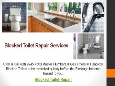 Blocked Toilet Repair Services