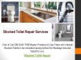 Blocked Toilet Repair Services PowerPoint PPT Presentation