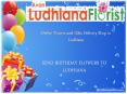 Birthday Flowers Delivery In Ludhiana PowerPoint PPT Presentation