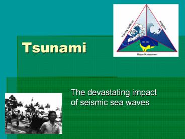 Tsunami Information, Tsunami Facts