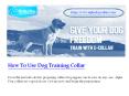 How to use dog training collar PowerPoint PPT Presentation