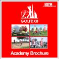 Golf lessons in Dubai PowerPoint PPT Presentation
