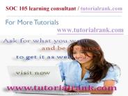 SOC 105 Learning Consultant / tutorialrank.com