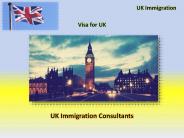 UK Immigration Consultant