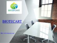 Organic Skin Products