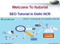 SEO Tutorial In Delhi NCR (1)