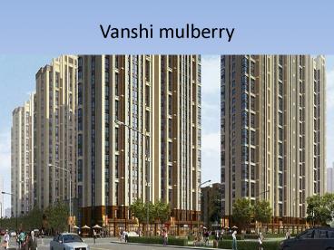Vanshi Mulberry