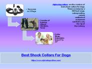 Best shock collars for dogs
