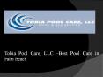 Tobia Pool Care, LLC –Best Pool Care in Palm Beach PowerPoint PPT Presentation