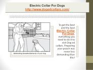 Electric collar for dogs