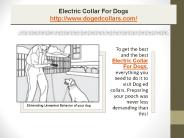Electric collar for dogs (2)