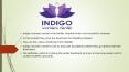Best IVF Center in Chennai | Indigo Womens Center (1) PowerPoint PPT Presentation