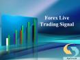 Forex Live | Trading Signal | SapForex24 | Forex Trading Signal PowerPoint PPT Presentation