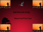 South Dakota Duck Hunting