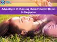 Advantages of Choosing Shared Student Hones in Singapore PowerPoint PPT Presentation