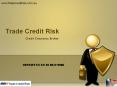 Business Credit Insurance PowerPoint PPT Presentation