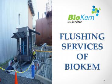 FLUSHING SERVICES of Biokem (1)