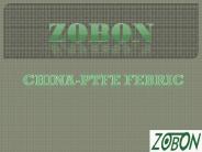 PTFE Fabric