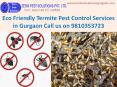 Eco Friendly Termite Pest Control Services in Gurgaon Call 9810353723 PowerPoint PPT Presentation